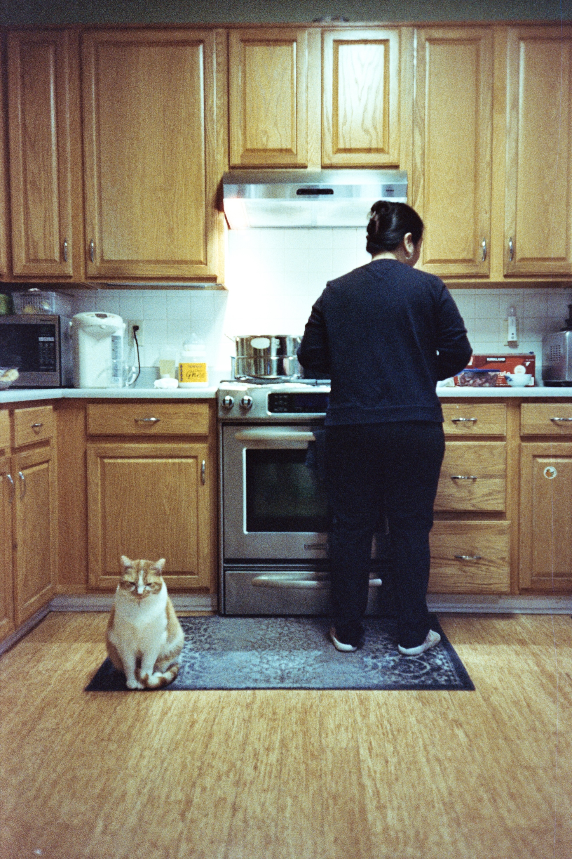 Woman and cat in kitchen