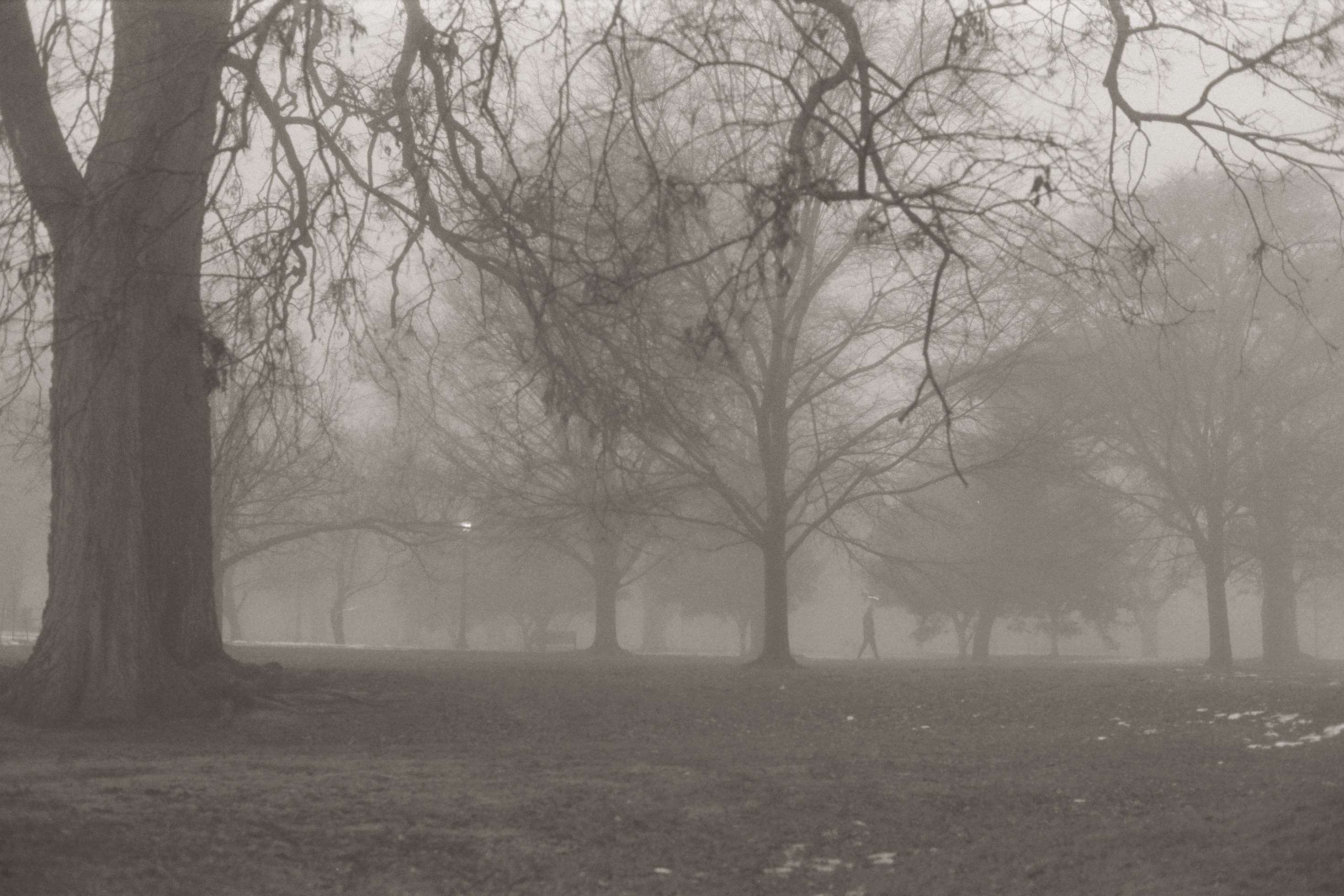 Person walking in park