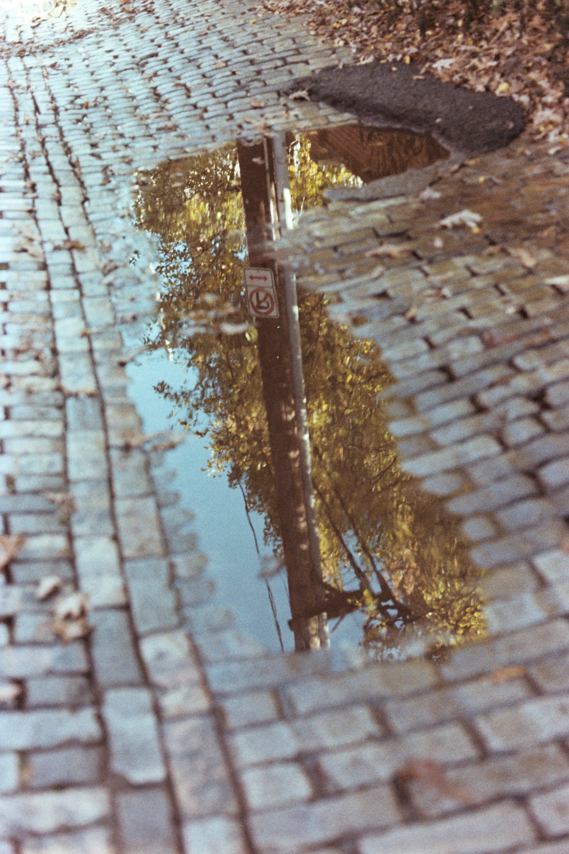 Puddle in bricks